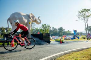 BIB: 
                            <button type="button" onclick="openModal(26182996)" class="btn btn-primary btn-sm float-right btn-popup" data-toggle="modal" data-target=".modal-high-quality">
                        <i class="fas fa-shopping-cart"></i> Add to Cart
                    </button>
                                            <button type="button" onclick="isThisMe(26182996, true)" class="btn btn-success btn-sm float-right btn-popup btn-isme hidden" data-toggle="tooltip" data-placement="bottom" title="นี่คือรูปของคุณใช่ไหม คลิกที่นี่เพื่อเอาเข้าอัลบั้ม">
                        <i class="fas fa-plus"></i> Add to album
                    </button>
                    <button type="button" onclick="isThisMe(26182996, false)" class="btn btn-warning btn-sm float-right btn-popup btn-isnotme hidden">
                        <i class="fas fa-ban"></i> Remove from album
                    </button>